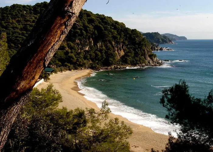 公寓 Lloret Sun 滨海略雷特