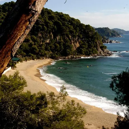 Apartamento Lloret Sun Lloret de Mar